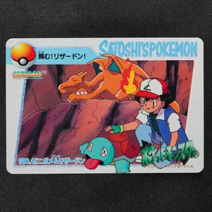 Squirtle & Charizard